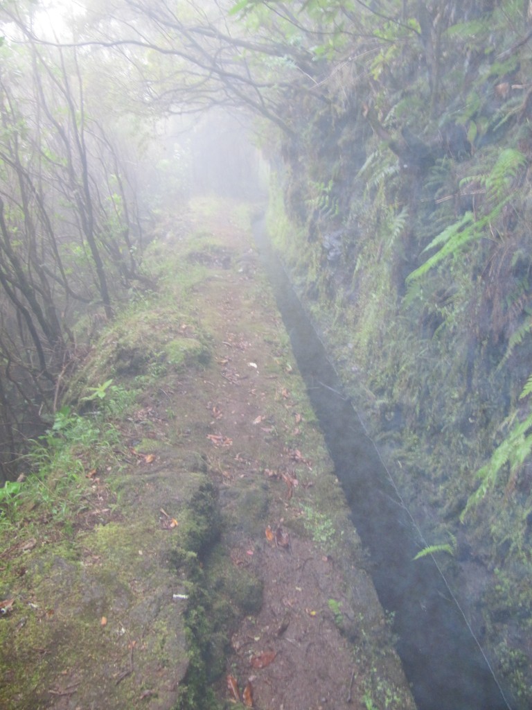Levada in the mist.