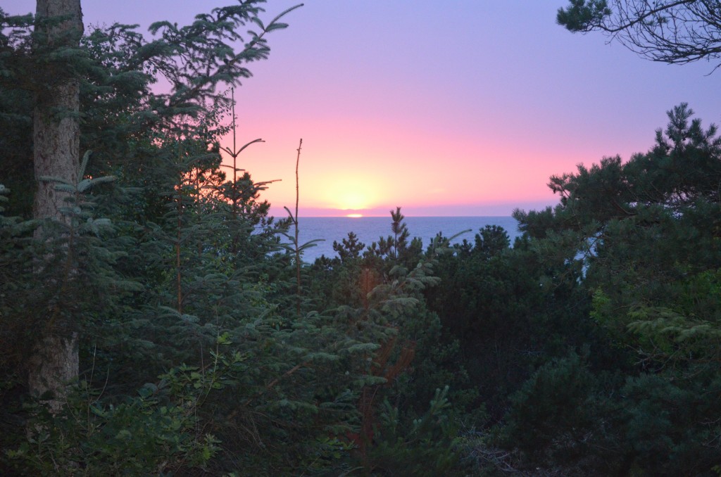 Through the streets of Ennis.