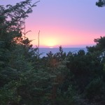 Through the streets of Ennis.