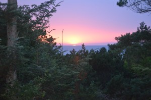 Through the streets of Ennis.