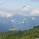 Kids with orange lollys.