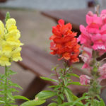 The streets were quite narrow.