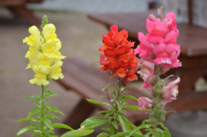 The streets were quite narrow.