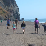 A perfect day for beachcombing.