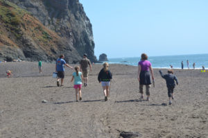 A perfect day for beachcombing.