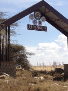 serengeti